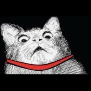 Meet your Posher, Caitlyn